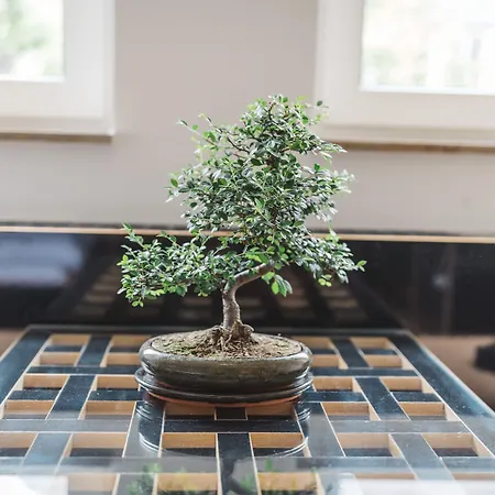 18arts - Living In A Gallery! Kolonia