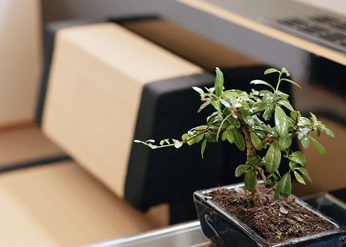 Hotel 18arts - Living In A Gallery! Köln