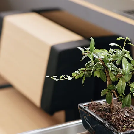 Otel 18arts - Living In A Gallery! Köln