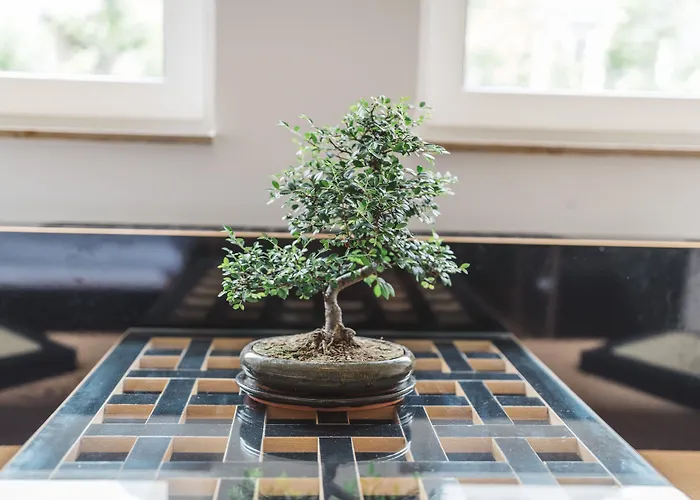 18arts - Living In A Gallery! Keulen